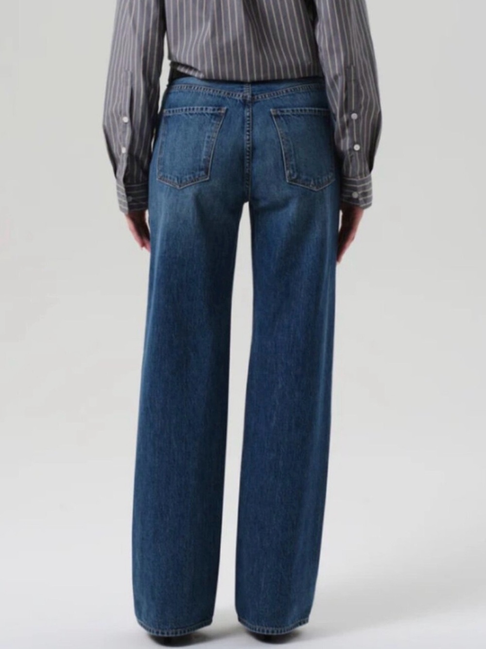 Citizens Of Humanity ANNINA wide leg high rise
